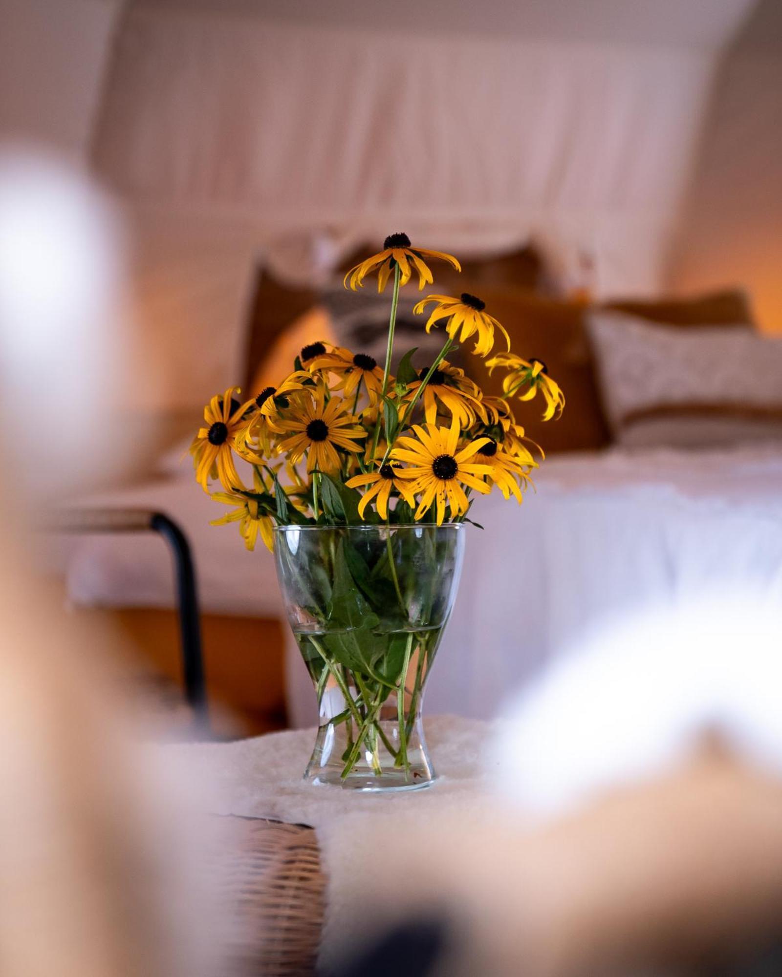 Hotel Glamping Gozdna Jasa Bovec Esterno foto