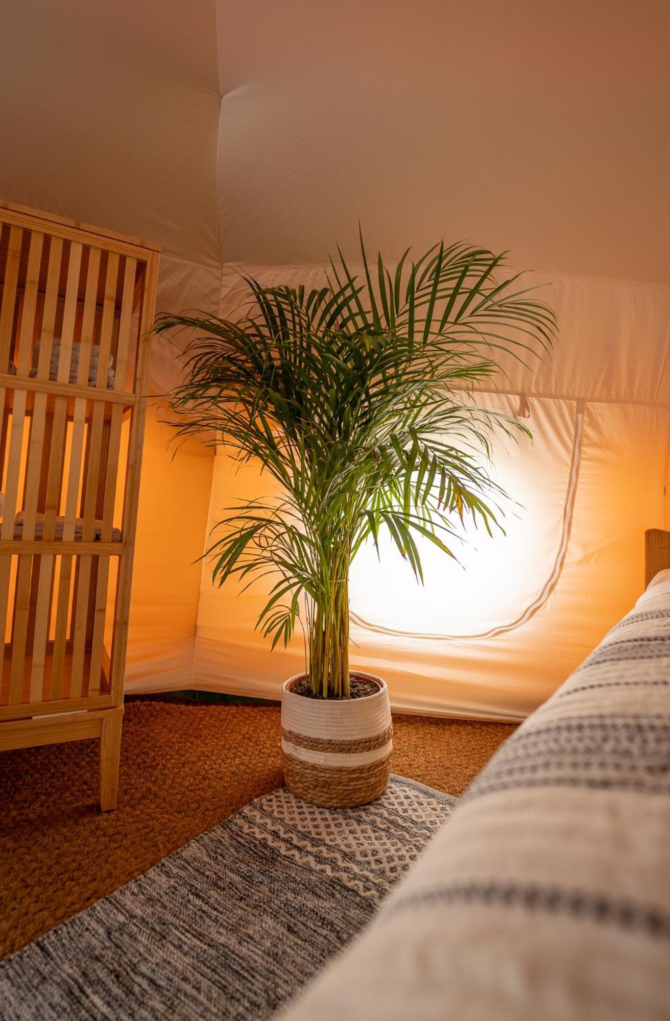 Hotel Glamping Gozdna Jasa Bovec Esterno foto