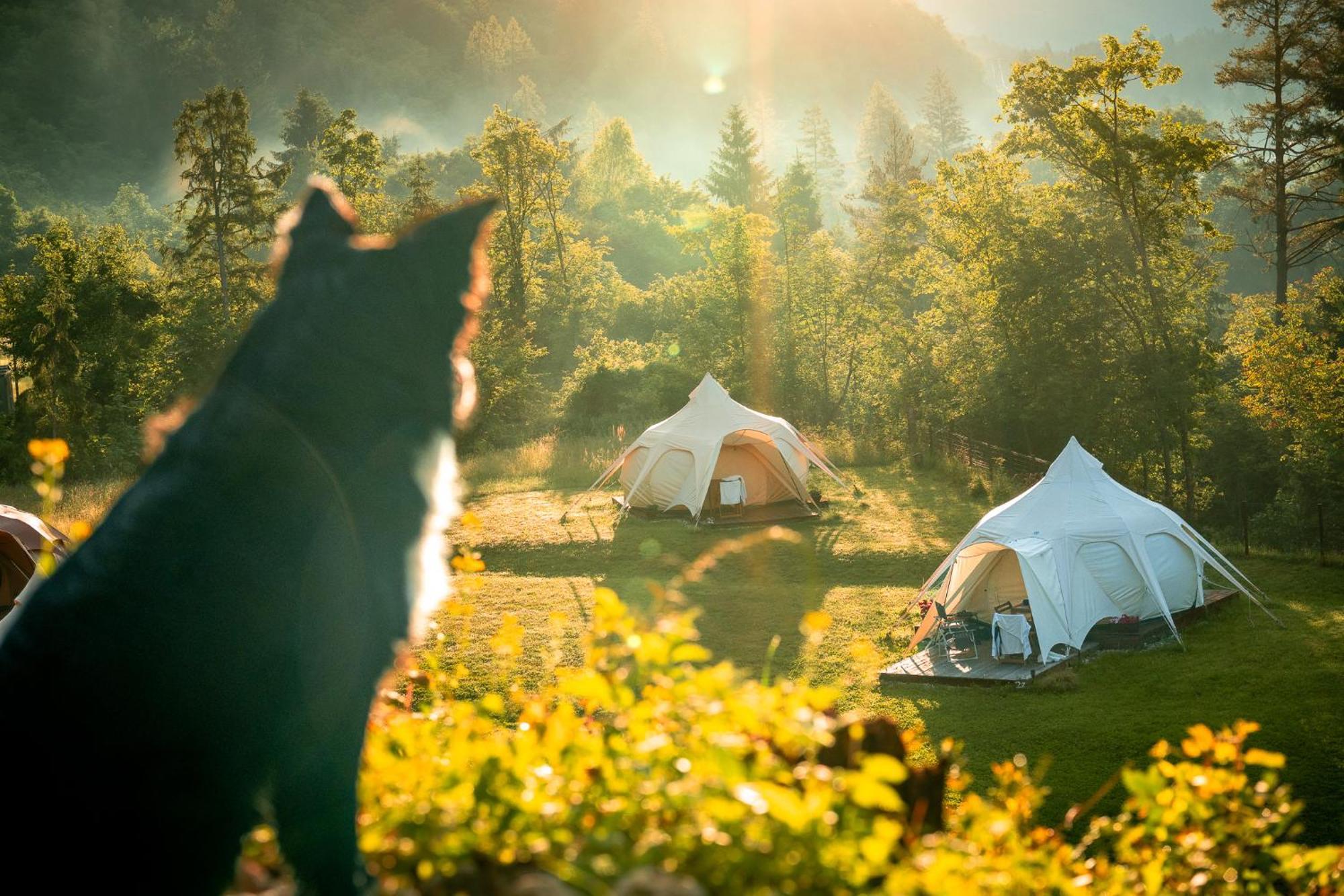 Hotel Glamping Gozdna Jasa Bovec Esterno foto